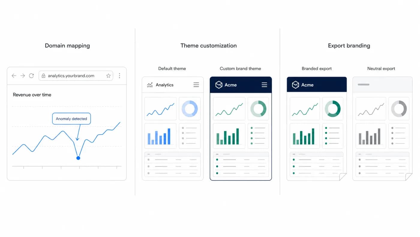 Three levels of branding shown side by side: domain mapping on the customer's own hostname, theme customization with a default theme beside a custom brand theme, and export branding with a branded export beside a neutral one.